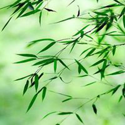 青岛胶东国际机场成功试飞