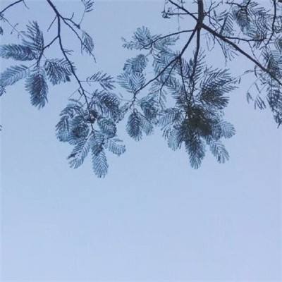 全民打boss手游百度版下载